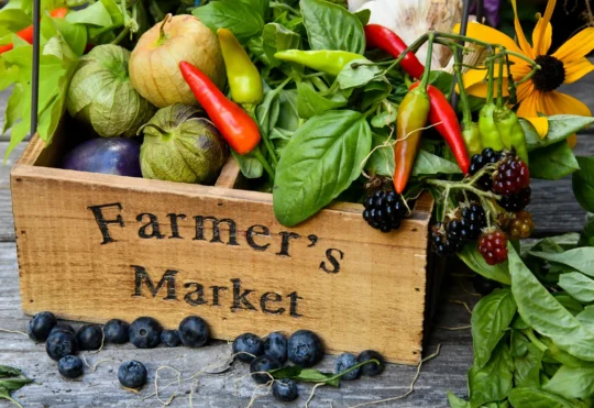 Farmers’ Market of N.S. says buying local essential all the time