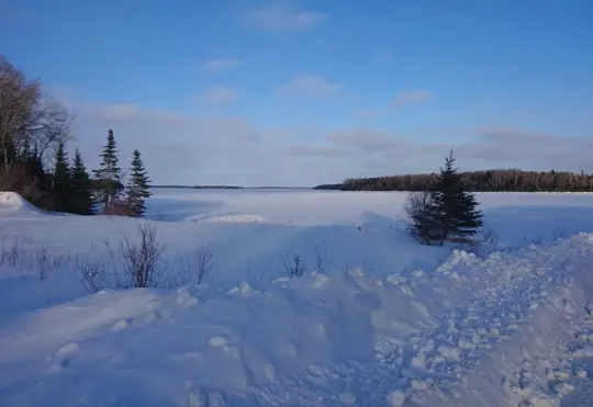 Police ask public to stay off lakes and ponds, ice still not safe