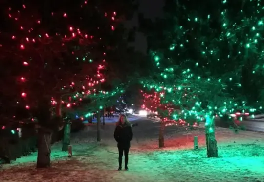 It’s time to ‘Light Up Riverview’