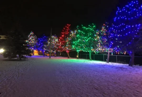 Thousands to visit Riverview’s lights display over the Petitcodiac