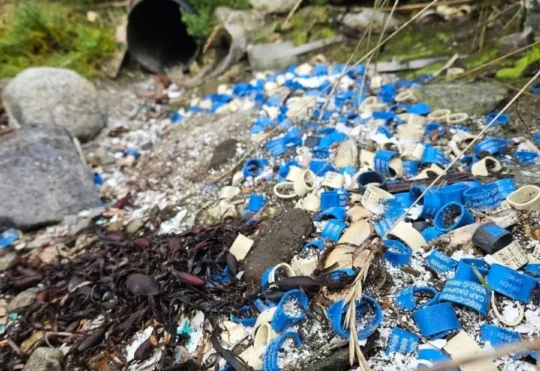 Scotian Shores clean-up thousands of lobster bands