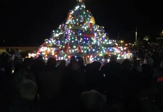 Barrington’s Lobster Trap Tree to be lit