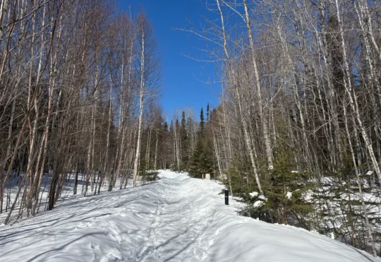 Gravel trail near Boulevard Lake closing temporarily