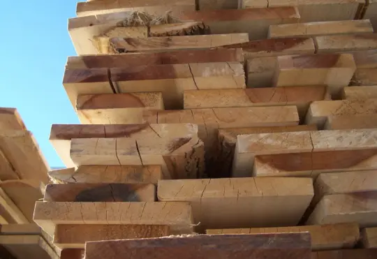 Softwood tariffs to remain in place