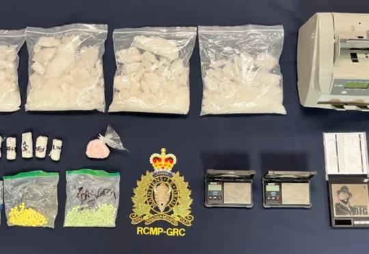 Man arrested in homicide pleads guilty to drug-related charges