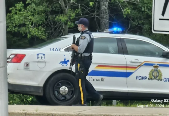 Heavy police presence in Mapleton Park