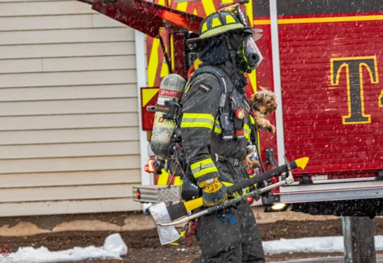 Fire at Mapleton Road apartment building, pets rescued