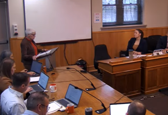 Snow Moles program being proposed for the city
