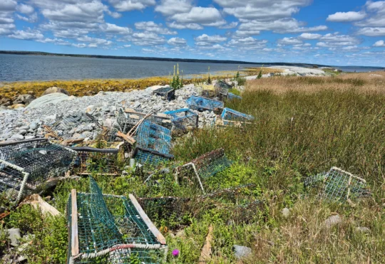 Scotian Shores begins multi-year clean-up of McNutts Island