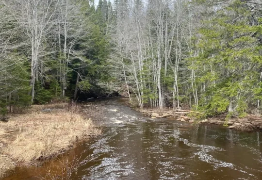 Riverview holds first ever Hike and Seek