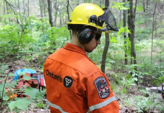 Forest fire season ends