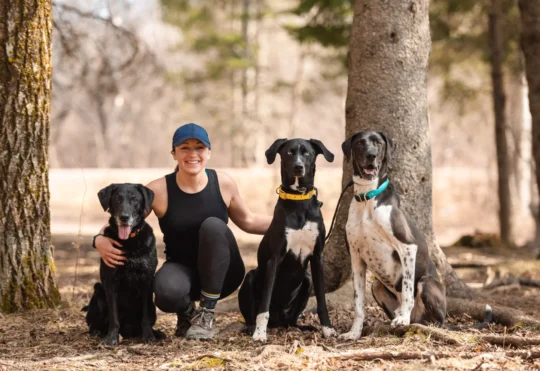 Harness dog racing event to be held at Mapleton Park