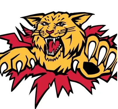 Wildcats drop Memorial Cup opener in OT