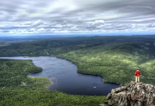 Tourism budget cut sparks industry concern in N.B.