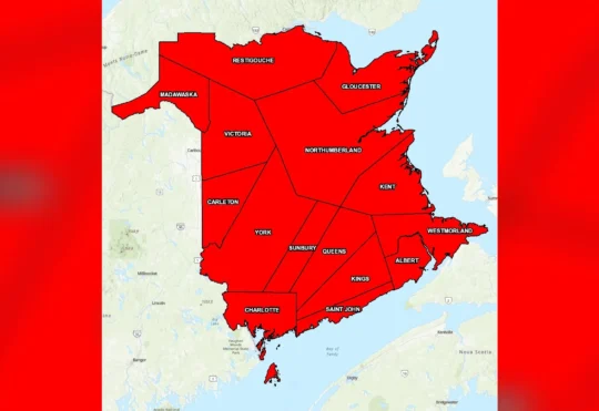 Forest fire ban for all of N.B.