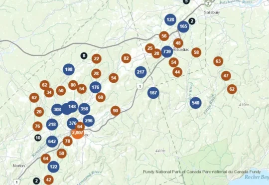 Power outages in Kings, Queens counties