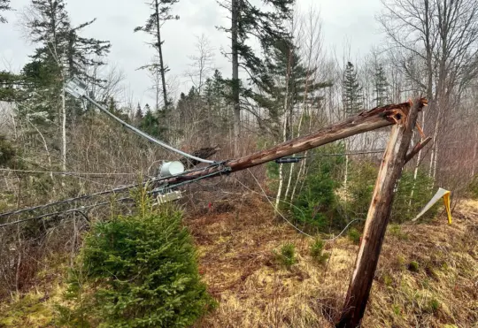 Power fully restored following last Monday’s storm