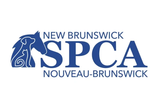NBSPCA looking for info after dog struck on Highway 2