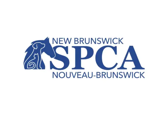 Woman charged after 14 dead horses found on N.B. farm