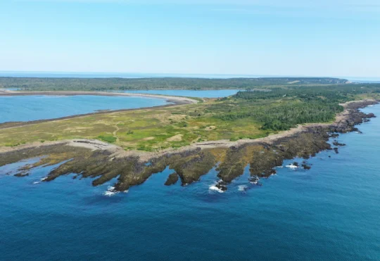 Province seeking feedback on 18 proposed wilderness areas