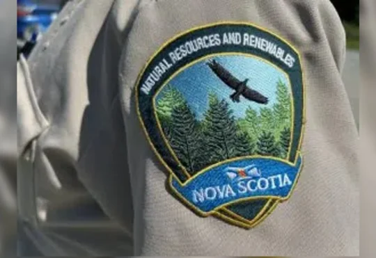 Incident on popular Halifax-area trail not bear attack: DNRR