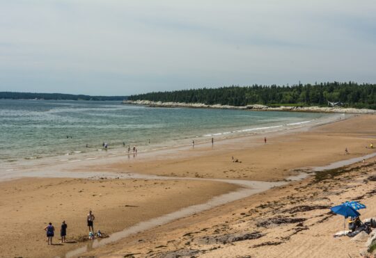 No swimming at 5 provincial beaches due to bacteria levels