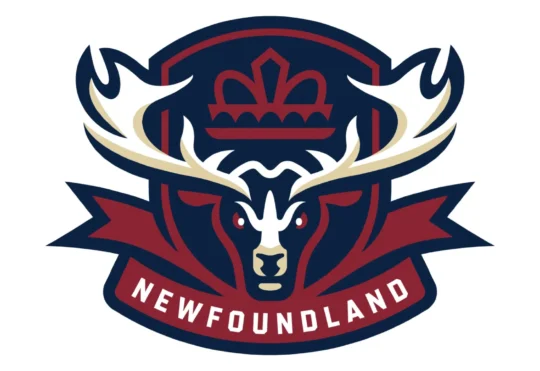 Newfoundland Regiment unveiled as newest QMJHL team