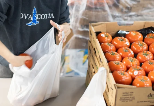 Funding for more local food in N.S.’s public institutions