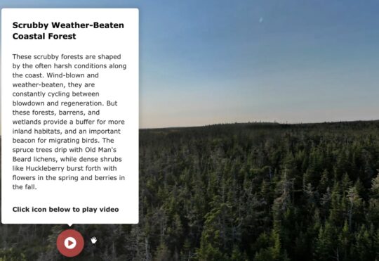 New online platform showcases Nova Scotia’s hidden natural landscapes