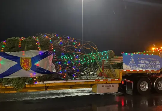 N.S. tree for Boston ready to light up the holidays