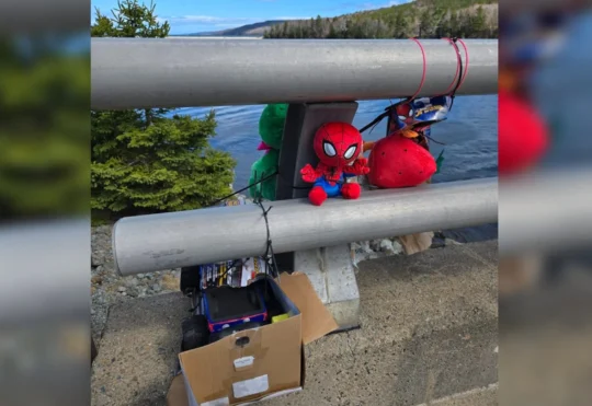 Air search underway for missing boy, 4, after fishing tragedy in Guysborough
