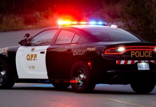 Pedestrian charged in collision on Expressway
