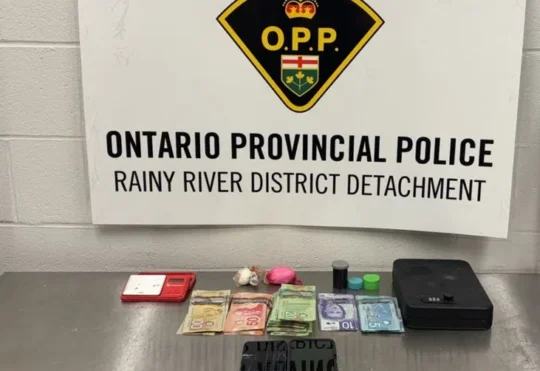 Traffic stop results in 4 arrested