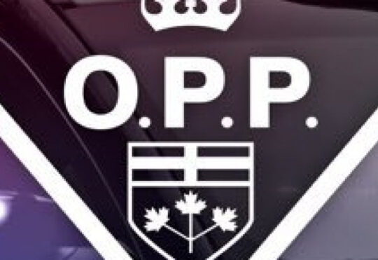 Fort Frances woman faces animal cruelty charge