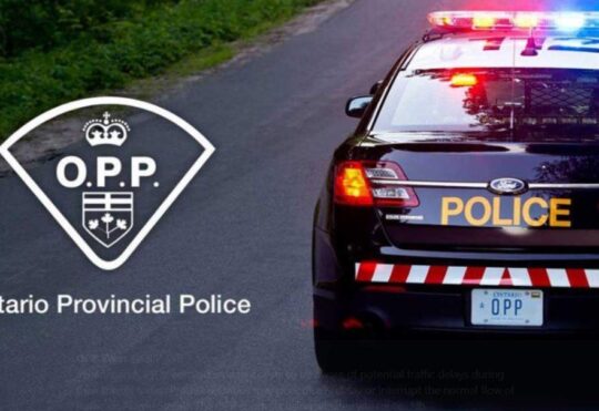 Auto theft thwarted by police