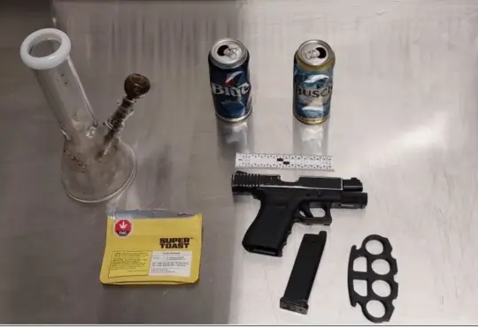 RIDE stop leads to weapons charges
