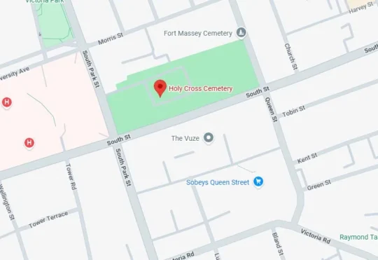 St. Patrick’s Day Parade society says cancellation should be wakeup call
