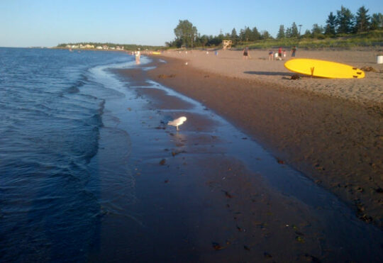 No-swimming advisory added at 6th N.B. beach