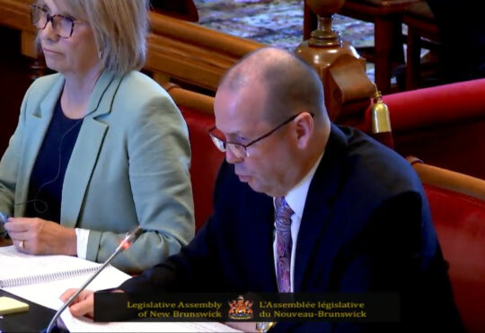 Auditor general releases first part of COVID-19 audit
