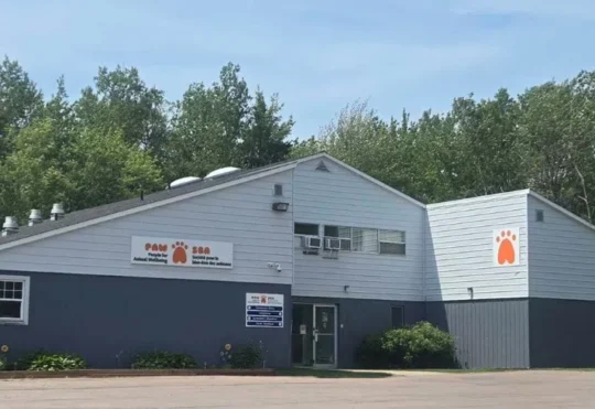 Break-in at PAWS shelter