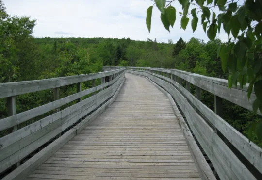 One-million-dollar budget to create pedestrian bridges in Thunder Bay