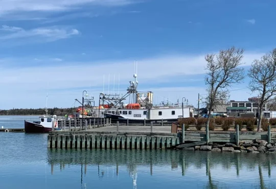 Study shows Port of Yarmouth generates $50M per year