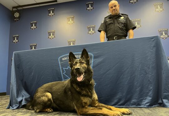 Three animals sworn into Halifax Police force