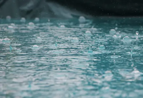 Wind warnings and lots of rain in forecast for Monday