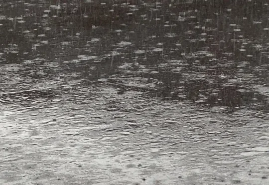Remnants of Hurricane Beryl could dump heavy rain on southern O.N. and P.Q.