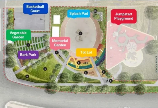Tree cutting in Saint John’s Rainbow Park for new school