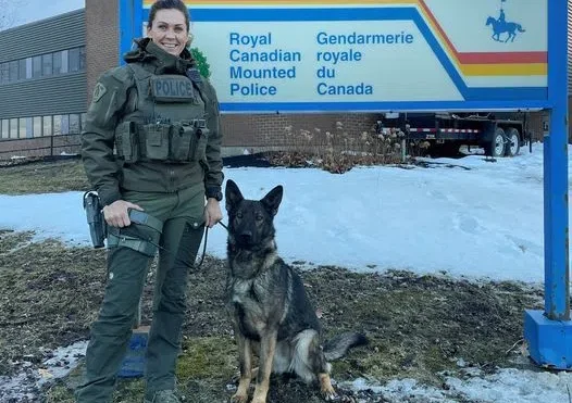 Boy safe thanks to help of RCMP Police Services Dog