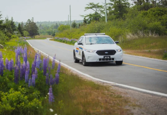 Back to school safety tips for students, drivers