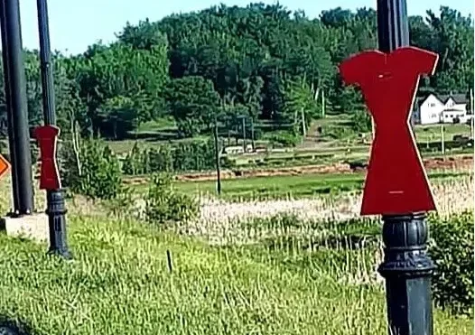 Red Dress Day recognized across Canada