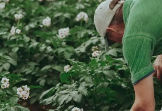 Shared Workforce Program renewed to support N.B. farmers